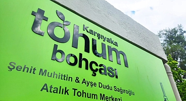 6 ayda 200 bin paket tohum halka dağıtıldı