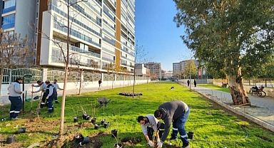Karşıyaka'da 4 yıllık yeşil hamle: 89 Bin fidan, 55 park