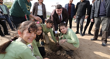 Menderes'in ağaçlarından sakız damlayacak