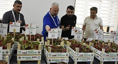 13. Emiralem Çilek Festivali'ne yakışan final