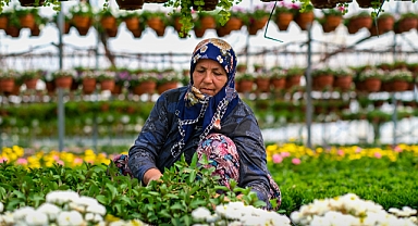 24. Uluslararası Bayındır Çiçek Festivali başlıyor