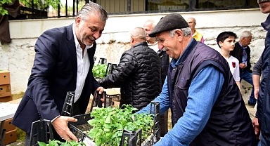 Bornova’da yerel üreticiye 500 bin fide