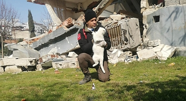 Hatay’dan Torbalı’ya yeni bir hayata