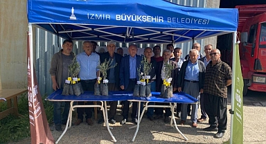 İzmir’den Osmaniye’ye 20 bin zeytin fidanı