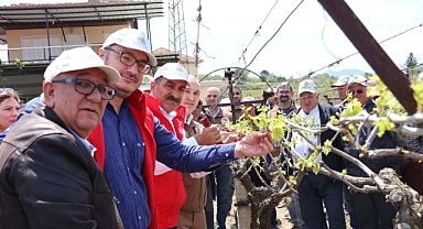 Türk üzümü dünya sofralarına kalıntısız ulaşıyor