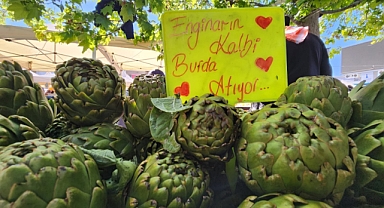 Urla Enginarı yüzleri güldürdü
