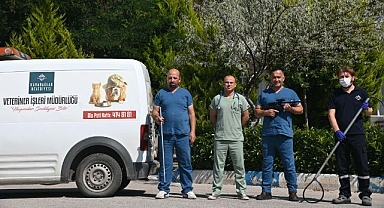 Karabağlar'da kurban yakalama timi iş başında!