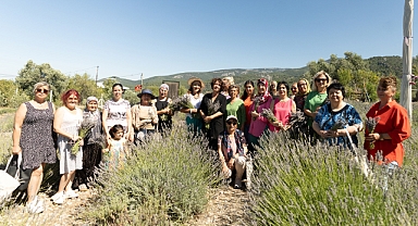 İmece usulü lavanta hasadında dayanışma örneği