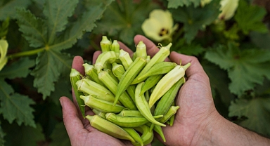 İzmir'de kuraklıkla mücadele sürüyor
