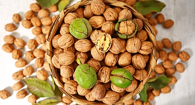Yerli cevizde kalite farkı