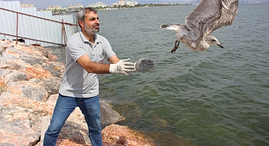 Yorgun martılar Karşıyaka'da emin ellerde!