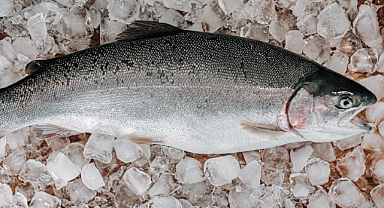 Dondurulmuş balık alırken dikkat!