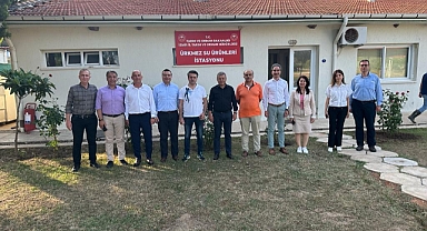 İzmir sularına 5 milyon yavru sazan