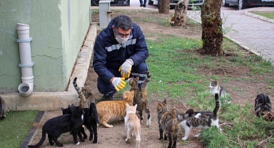 Karşıyaka Belediyesi, 8 ayda 24 bin can dosta hizmet sundu