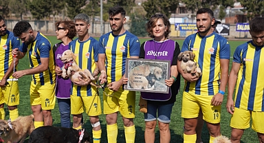 Maça sahiplendirilmeyi bekleyen köpeklerle çıktılar
