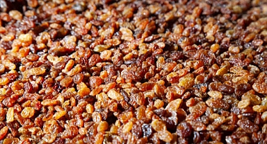 Türkiye kuru üzüm üretiminde açık ara dünya lideri