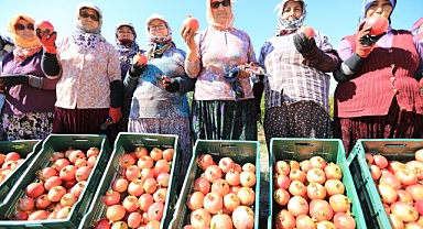 Zeytinköy narı ilk kez şenlikle buluşuyor