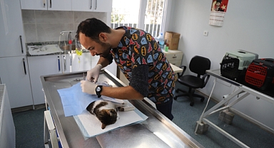 Hayvan dostu belediye