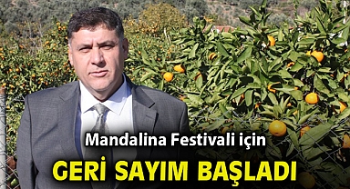 Mandalina Festivali için geri sayım başladı