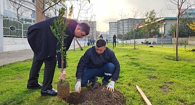 Karşıyaka meyve bahçeleriyle renkleniyor
