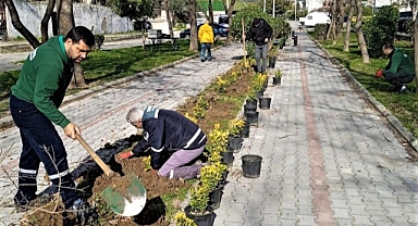 5 yılda 13 bin ağaç dikildi