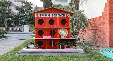 Başkan Sandal: Soğuklarda sokak hayvanlarını unutmayalım