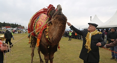 Bölgenin en büyük deve güreşi festivali 4 Şubat’ta Torbalı’da