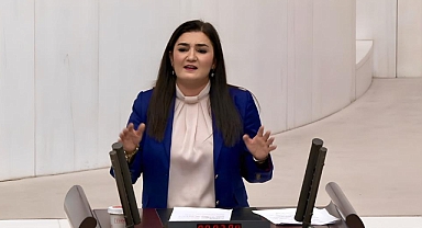  CHP İzmir Milletvekili Sevda Erdan Kılıç: Kutlama değil matem günü, 10 Ocak'ta Dink'in katillerini arıyoruz