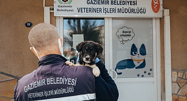 Gaziemir’de 27 bin 631 hayvana veteriner sağlık hizmeti