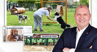 CHP’li Çiçek’ten can dostlara özel rrojeler