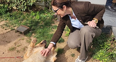 Saime Bucaklıoğlu'ndan can dostlar için projeler