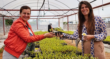  Başkan Denizli üreticilere 50 bin adet fidan dağıttı