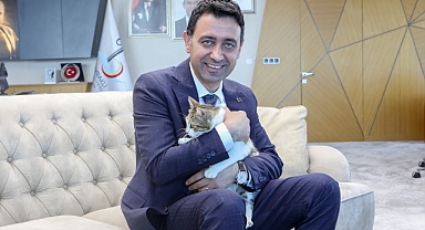 Başkan Önal yaralı kediye sahip çıktı... ‘Sahiplenme’ çağrısı yaptı!