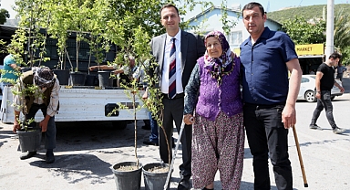 Bir yılda 10 bin meyve fidanı dağıtılacak