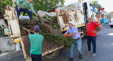  Buca Belediyesi’nden üreticiye fidan desteği