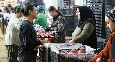 Deppo Efes sezona hazır