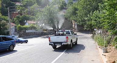 Bayraklı'da ilaçlama seferberliği