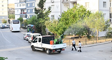 Çiğli'de sivrisinek ilaçlaması iki katına çıkartıldı
