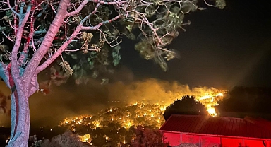  Dikili'de çıkan yangın kontrol altına alındı