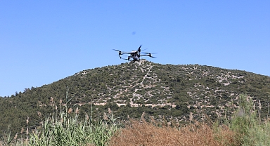 Efes Selçuk'ta ilaçlama çalışmaları... Büyükşehir'den tam destek