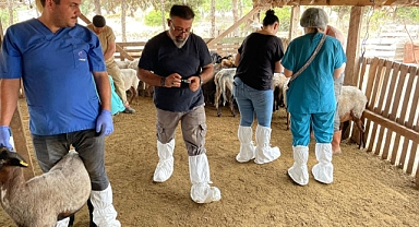 İzmirli üreticiye bir destek daha