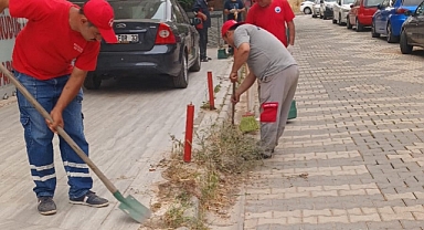 Menderes Belediyesi'nde yol temizliği