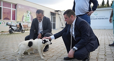 Torbalı’da patilerin festivali gerçekleşecek