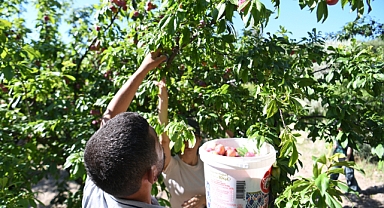 Bornova'da tarıma tam destek!