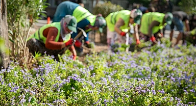 Buca caddeleri çiçek açtı