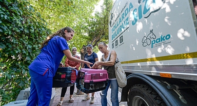 Büyükşehir'den can dostları kısırlaştırma seferberliği