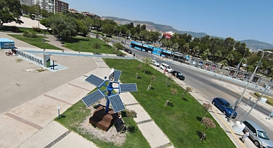 İzmir'in ağaçları enerji verecek