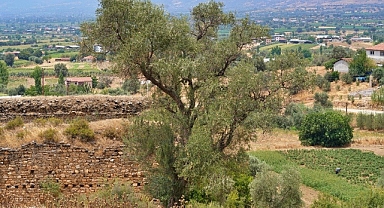 İzmir'in köyleri korunarak kalkınacak