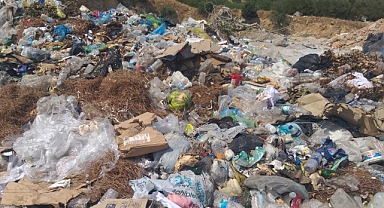 Kınık'ta belediye eli ile çevre katliamı!