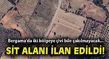 Bergama'da iki bölgeye çivi bile çakılmayacak... SİT alanı ilan edildi!